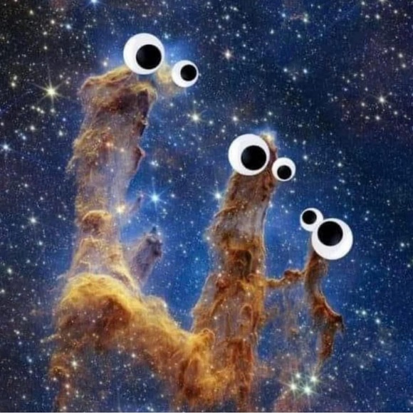 Meet your Posher - Picture 8 of 8